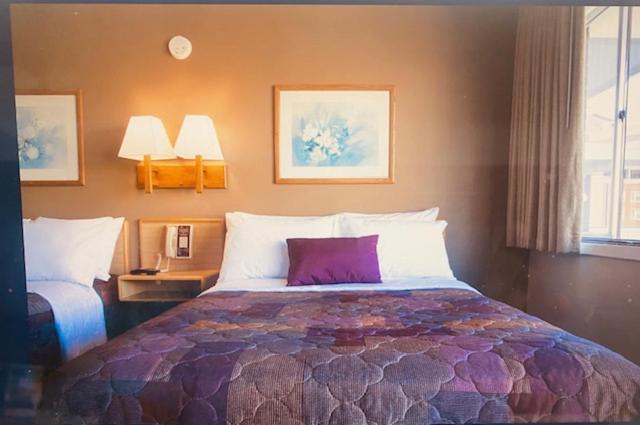 Heart O' Chicago Motel Экстерьер фото