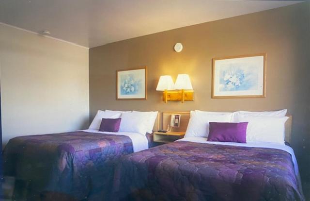 Heart O' Chicago Motel Экстерьер фото